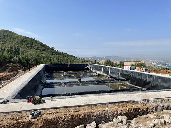 1673943384816298.jpg 16.jpg